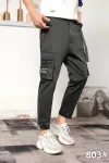 Otoño invierno algodón estilo grueso pantalones multibolsillos cargo pantalones de hombre holgado tamaño grande negocios corte recto al aire libre casual Specification image
